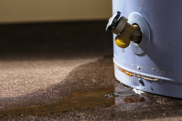  Carnegie, PA Water damage restoration Pros