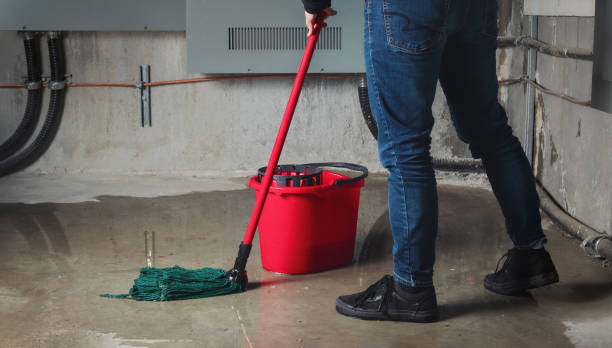 Best Water damage restoration company  in Carnegie, PA