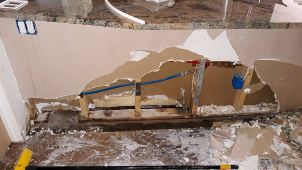 Best Residential water damage restoration  in Carnegie, PA