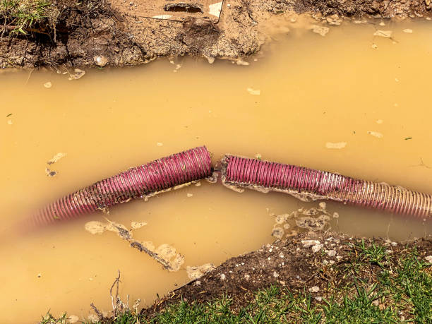 Best Water damage restoration process  in Carnegie, PA